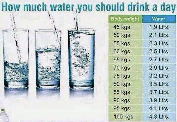 minum air ikut berat badan