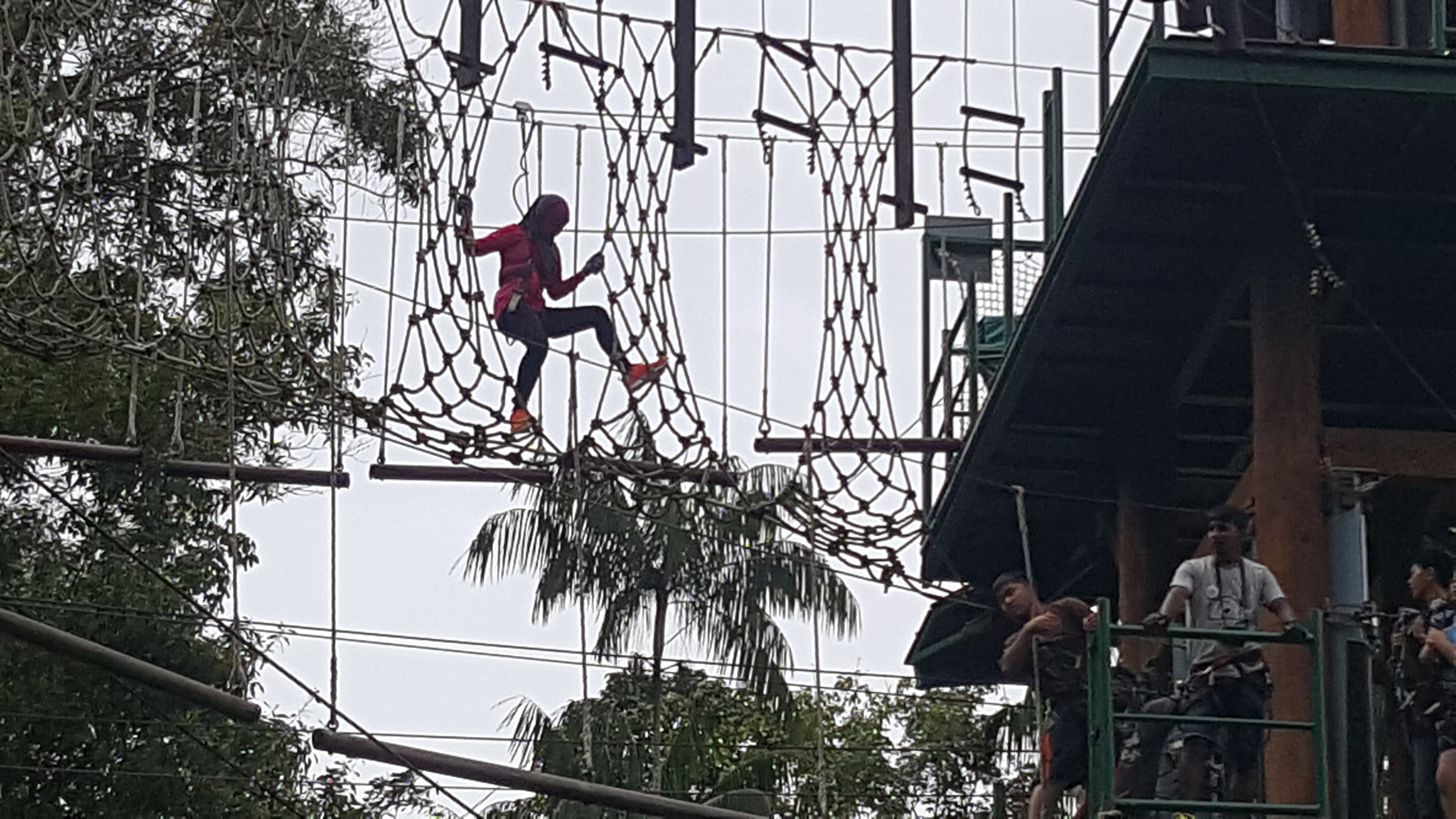 Monkey Business at Level 3 in a full body safety harness